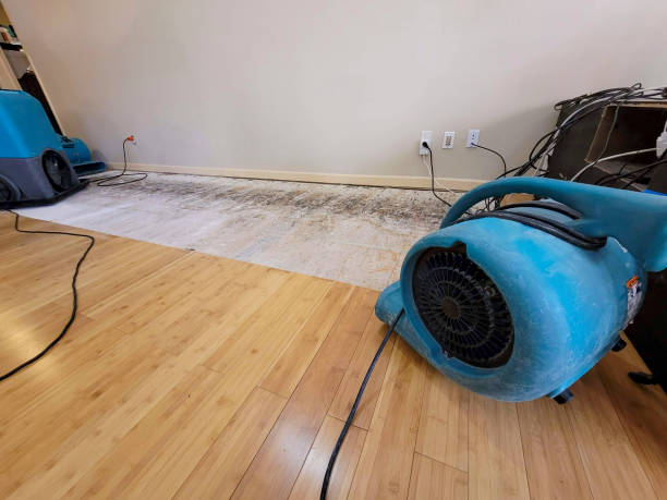 Professional Water Damage Repair technician working in Falls City, TX