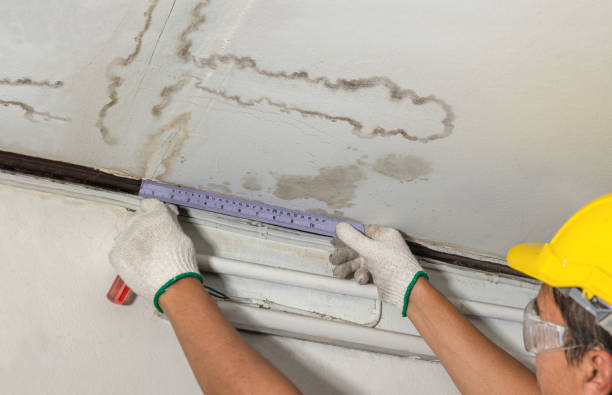 Affordable Water Damage Repair solutions in Falls City, TX